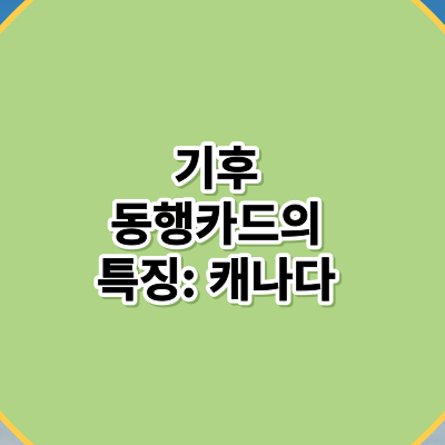기후 동행카드의 특징