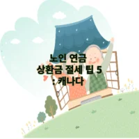 노인 연금 상환금 절세 팁 5